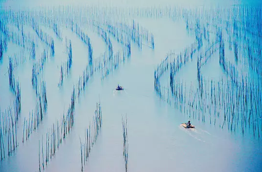 旅游3.png