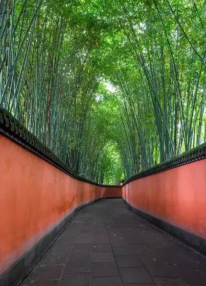 旅游14.png