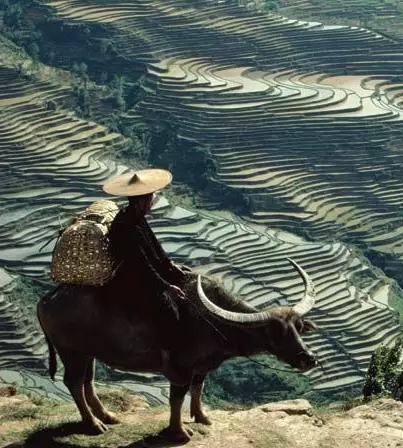 旅游21.png